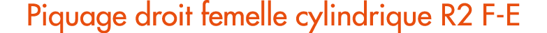 Piquage droit femelle cylindrique R2 F E